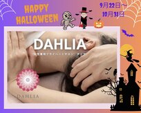 ダリア(DAHLIA)