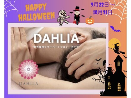 ダリア(DAHLIA)の写真