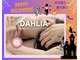 ダリア(DAHLIA)の写真