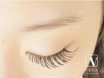 ヴィーガ(VEGA)/フラットラッシュ120本