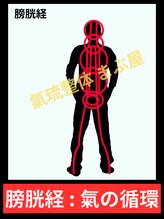 まぶ屋/膀胱の経絡内 気の循環イメージ