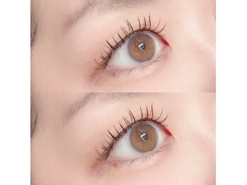 フーフロー(Fooflow)/フラットラッシュ140本