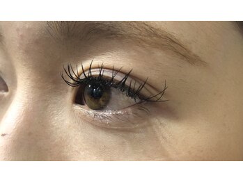 シルフ 石橋店(Sylph)/カシミヤDカール