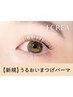 【口コミ投稿お得♪7月4日まで限定】潤いまつげパーマ ¥6600円→¥3490円