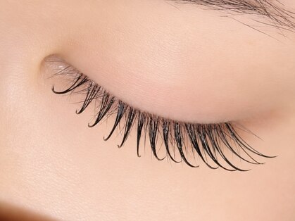 アイデザインブリンク(eye design BLINK)の写真