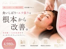 ビープラス(BEE PLUS)