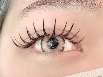アディアンドラッシュ 柏本店(Adii & Lash)の写真/【3回目まで同価格】感動の持続力×軽い付け心地《LEDマツエク¥5,980～》人気の韓国"束感"仕上げもOK♪