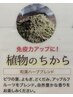 【女性限定・免疫力アップに！】ハーブスチーム（植物のちから）ハマム浴40分