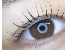 ケイラッシュ(K-LASH)/ラッシュリフト立ち上げデザイン