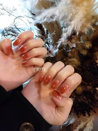 ワンカラー×シアーネイル