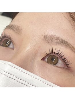 リンク(Link)/パリジェンヌラッシュリフト