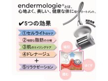 アネラ(ANELA)の雰囲気（ボディ：発汗！リンパ！デトックスx最新エンダ♪1度で効果を体感）
