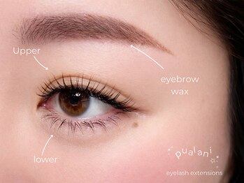 プアラニ(PUALANI)の写真/垢抜け革命！！【上下まつエク×美眉】似合わせで叶えるpualani。目力まで計算したトータルデザインへ