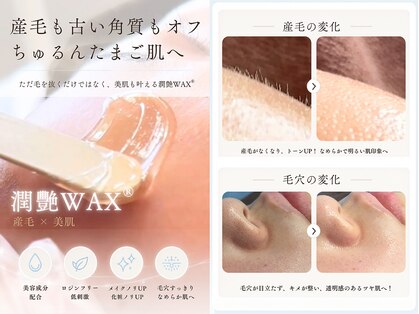 ファゴッド(FaGOD)の写真
