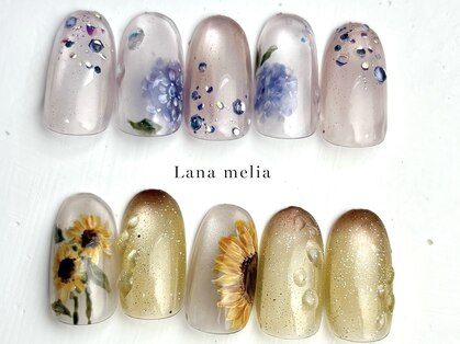 ラナメリア(Lana melia)の写真
