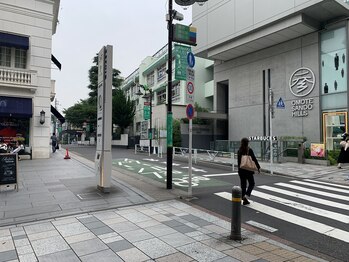 アオイ 表参道(Aoi)/道順[ヘッドスパ/表参道]