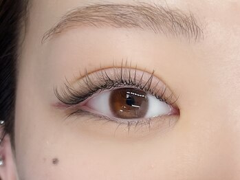 リプリ(RePuli)/ダブルフラット100束