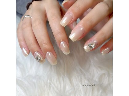 リーノ(Lino)の写真