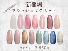 はあとねいる 板橋仲宿店の雰囲気（【フラッシュマグネット】限定15色☆ワンカラー3,850円★）