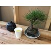 のどかロゴ