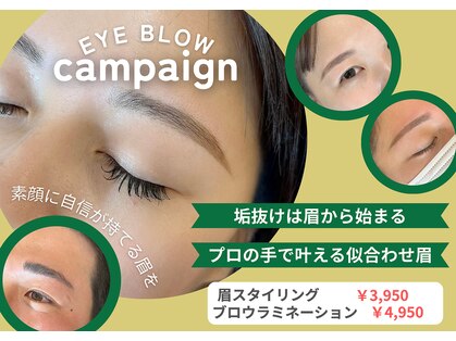 ケイナイン(K-NINE)の写真
