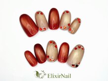 エリクサーネイル 新橋(Elixir Nail)/aシンプル定額/クーポン使用