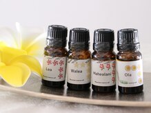 アイルビー(I’ll Bee)/本場ハワイから取り寄せ