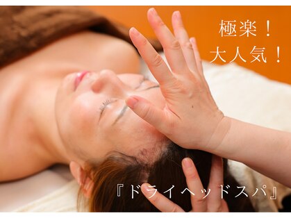 ラクーン(LACUN)の写真