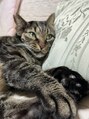 カレット イオンモール熱田店(Cullet) 私の栄養補給をしてくれる愛猫(*^^*)