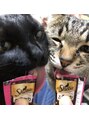 プレシャス アイラッシュ 中央町店(PRECIOUS)&nbsp;1番の癒しのココちゃんとクーちゃんです＾＾動物が大好きです！