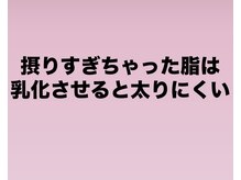 バーテックスキー(Vertexkey)/脂質