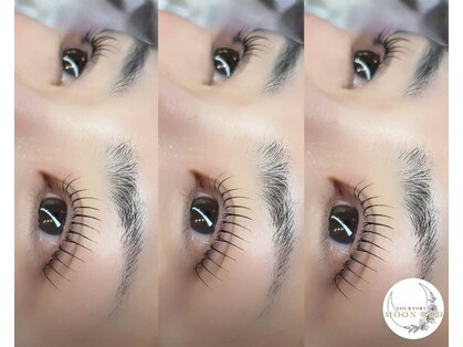 ガーランド ルピナス(garland lupinus)の写真