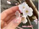 ネイルサロン ベビーピンク(Nail salon BABY PINK)の写真
