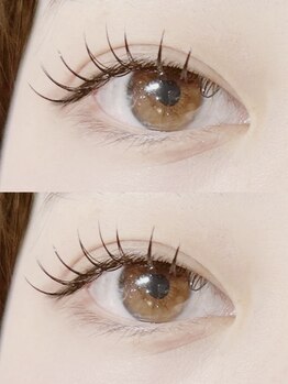 ミイプ(MEPP)/まつだ担当・フラットラッシュ