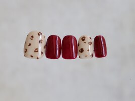 B-13 プレミアム定額