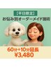 【平日限定！】お悩み別オーダーメイド施術（60分＋10分）￥3,480