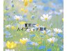 【今から始める夏前に脱毛】全身から4箇所♪