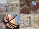 アール 豊田店(#arl)の写真/《初回オフケア無料》カラー400色以上！流行+季節を捉えた豊富な定額デザイン★嬉しいフットバス付き