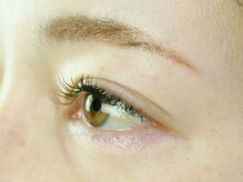 アルシア(ALsia)/ALsia　eyelash　八千代緑が丘.3