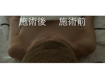 ハートランド(HEARTLAND)/プチ・クレオパトラ　