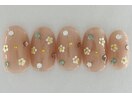ジェル￥8778スカルプ￥13178