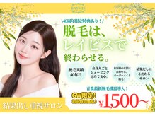 エステティック レイビス 青森店(RAYVIS)