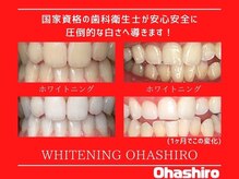 オハシロ 石橋駅前店(Ohashiro)