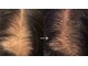 タカイ(TAKAI)の写真/【極上リラックス×本格育毛】心地よい水流導入とソフトな頭蓋骨整体で、頭皮の疲れと髪の悩みを解消★