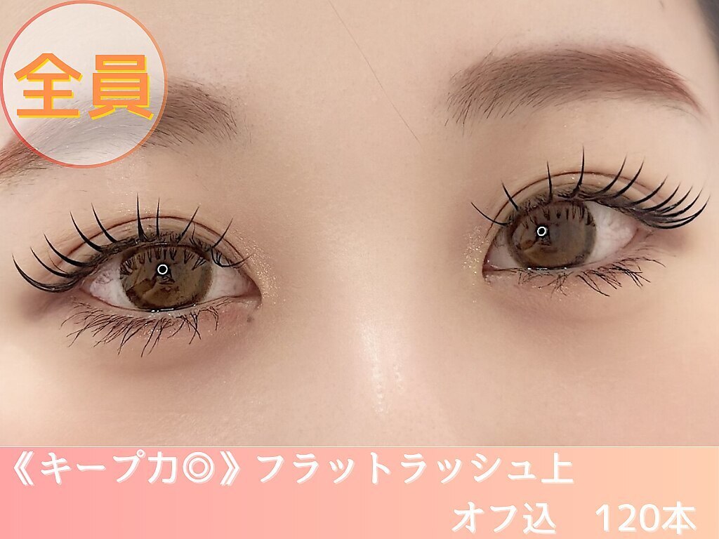 【キープ力◎】 フラットラッシュ上　オフ込　120本　5900