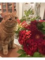 ホワイトニングショップ 豊川店 私の愛猫らーたんです!