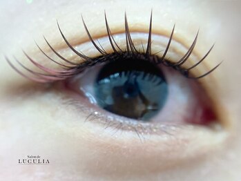 サロンドルクリア(Salon de LUCULIA)/＃カラーフラットラッシュ