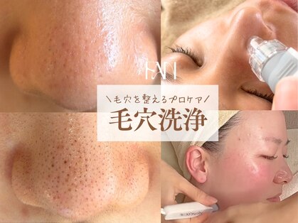 ファン(FAN)の写真