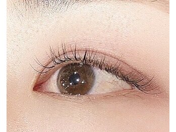 カミビトプラス アイラッシュ(KamiBito +plus)/シングルラッシュ１２０本