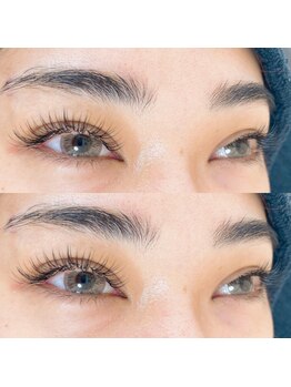 リノ(Lino)/フラット120本